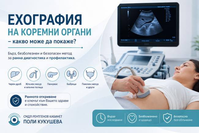 Ехография на коремни органи – какво може да покаже